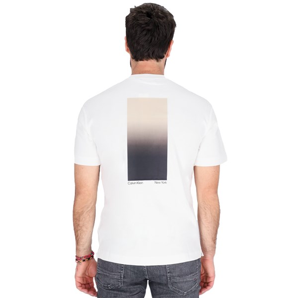Calvin Klein Abbigliamento Uomo T-shirt Bianco U K111526