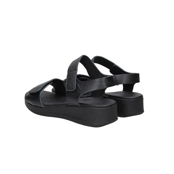 Oh my sandals Scarpe Donna Sandalo Nero D 5183